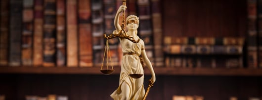 Click to play: Courthouse Steps Decision: Fuld v. Palestine Liberation Organization